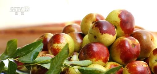 脆甜冬棗喜迎豐收 便捷物流助力農戶"棗棗"致富